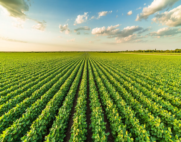 Agricultural Agricultural